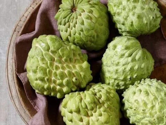 India A Grade Sitafal ( Custard Apples)